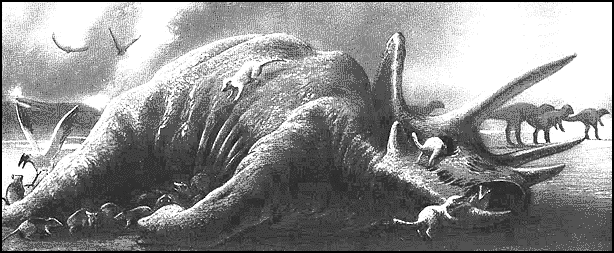 Трицератопс, вымерший 65 миллионов лет назад