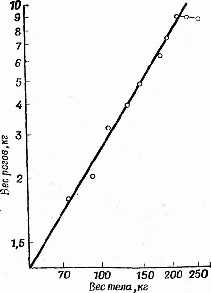 Фиг. 126. Логарифмический график, показывающий аллометрическую связь между весом рогов и весом тела благородного оленя (Cervus elaphus) [86]