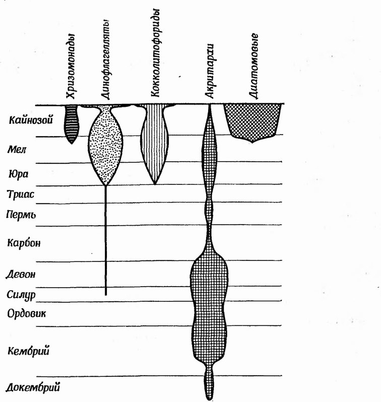 Фиг. 143. Схема геохронологического распространения основных групп морского фитопланктона (из [44], с изменениями)