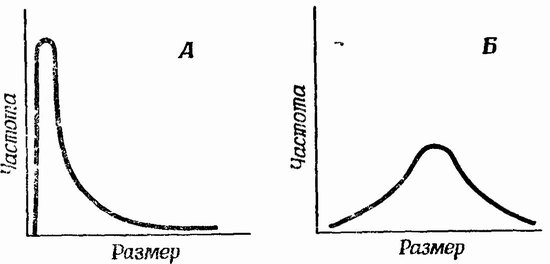 Фиг. 32. Сдвинутая влево (Л) и нормальная (Б) кривые распределения размеров в ископаемом комплексе, состоящем из одного вида. Раньше считалось, что первая кривая говорит о наличии незначительного переноса или сортировки, а вторая — о сортировке течениями