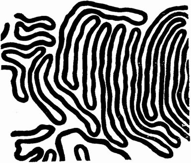 Фиг. 94. Ископаемые следы, так называемые Helminthoidea labyrinthica (из [189], по Рихтеру). Подобные следы найдены в меловых и эоценовых отложениях Альп и Аляски