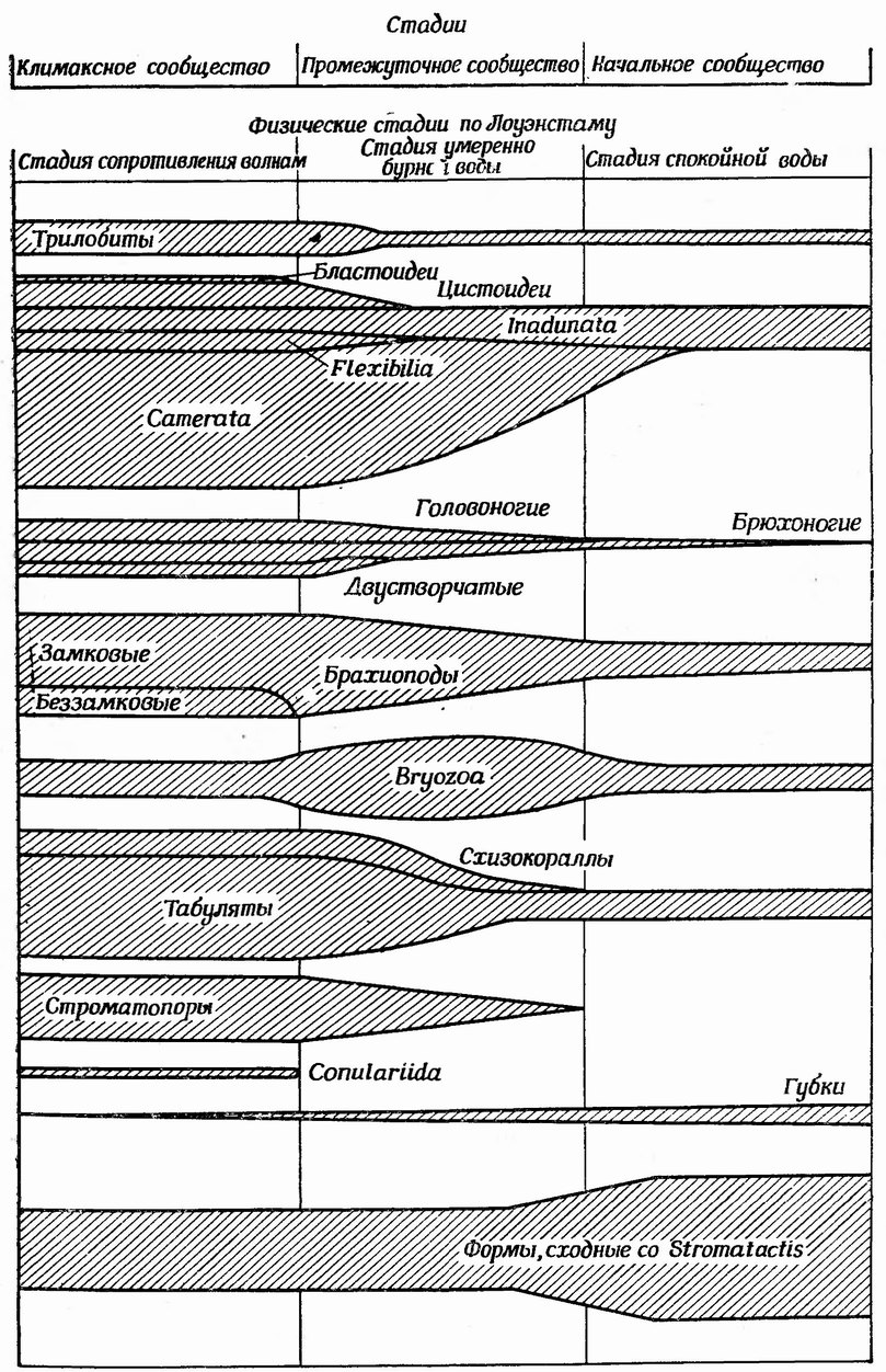 Фиг. 96. Три стадии экологической сукцессии, выделенные Лоуэнстамом в силурийских рифах района Великих озер, США [139]