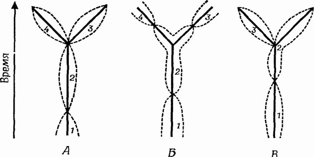 Фиг. 43. Три возможных способа подразделения ископаемого разветвляющегося филогенетического ряда на три или четыре вида (из [199], с изменениями)